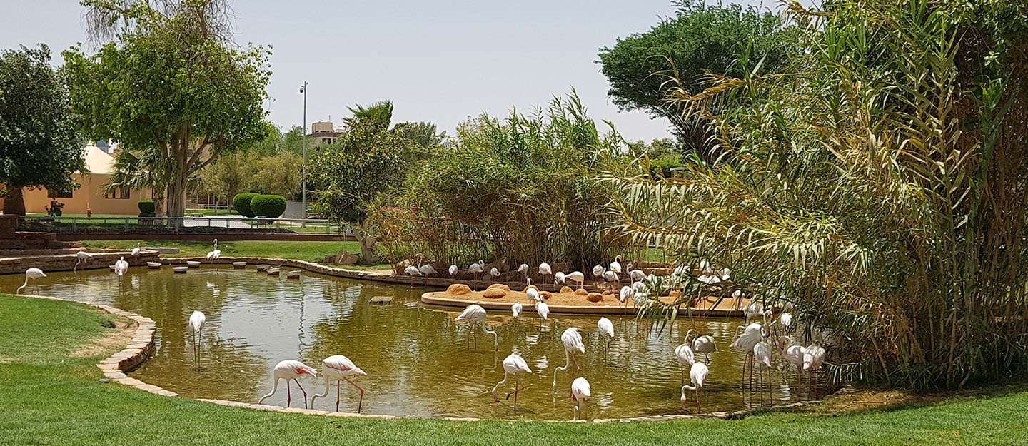 حديقة الحيوان بالرياض