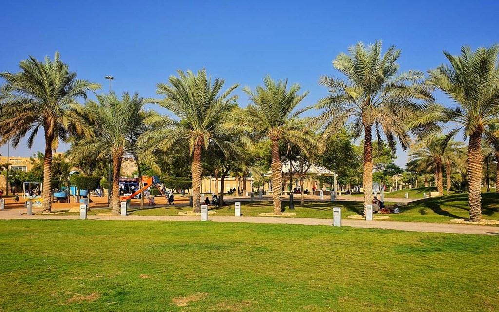 مسطحات خضراء حديقة الملك عبدالله