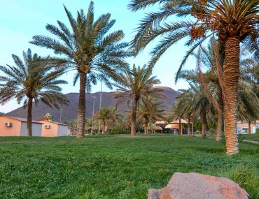 حدائق حائل