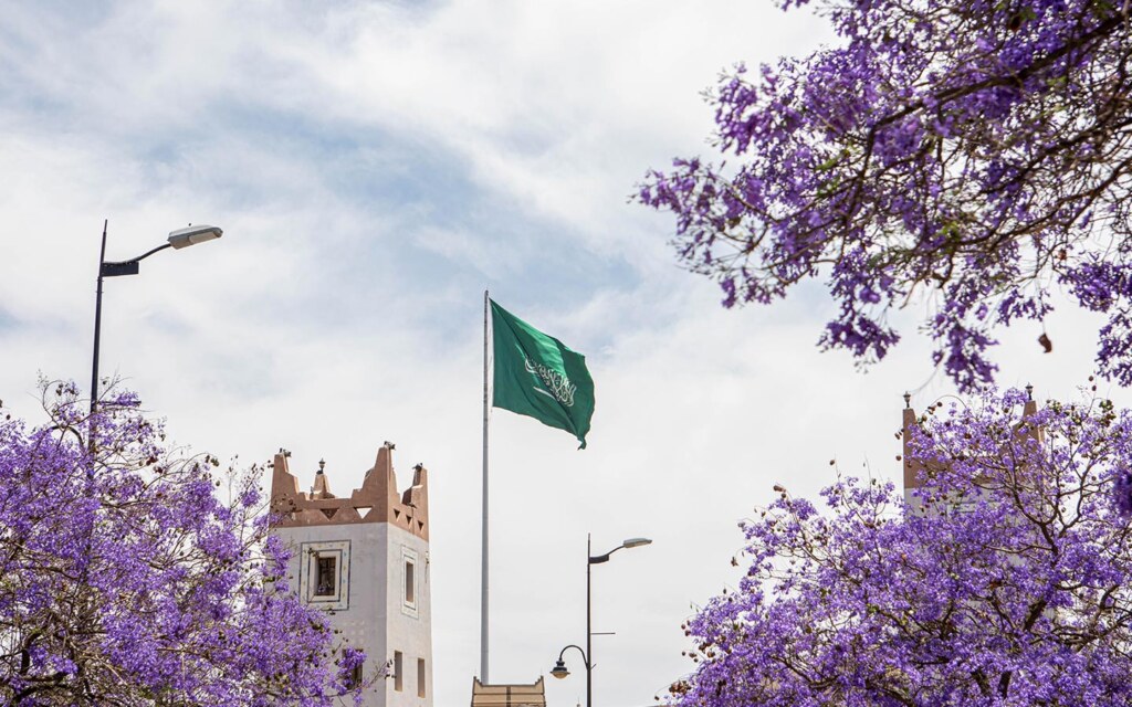 أشجار الجاكرندا