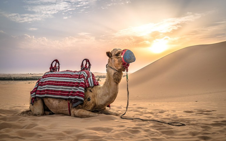 تعريف السياحة البيئية
