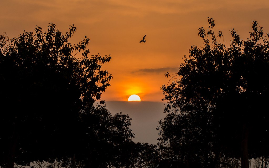 الغروب في الصواري