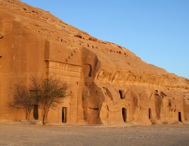 القصور