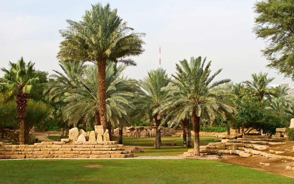 حديقة السويدي