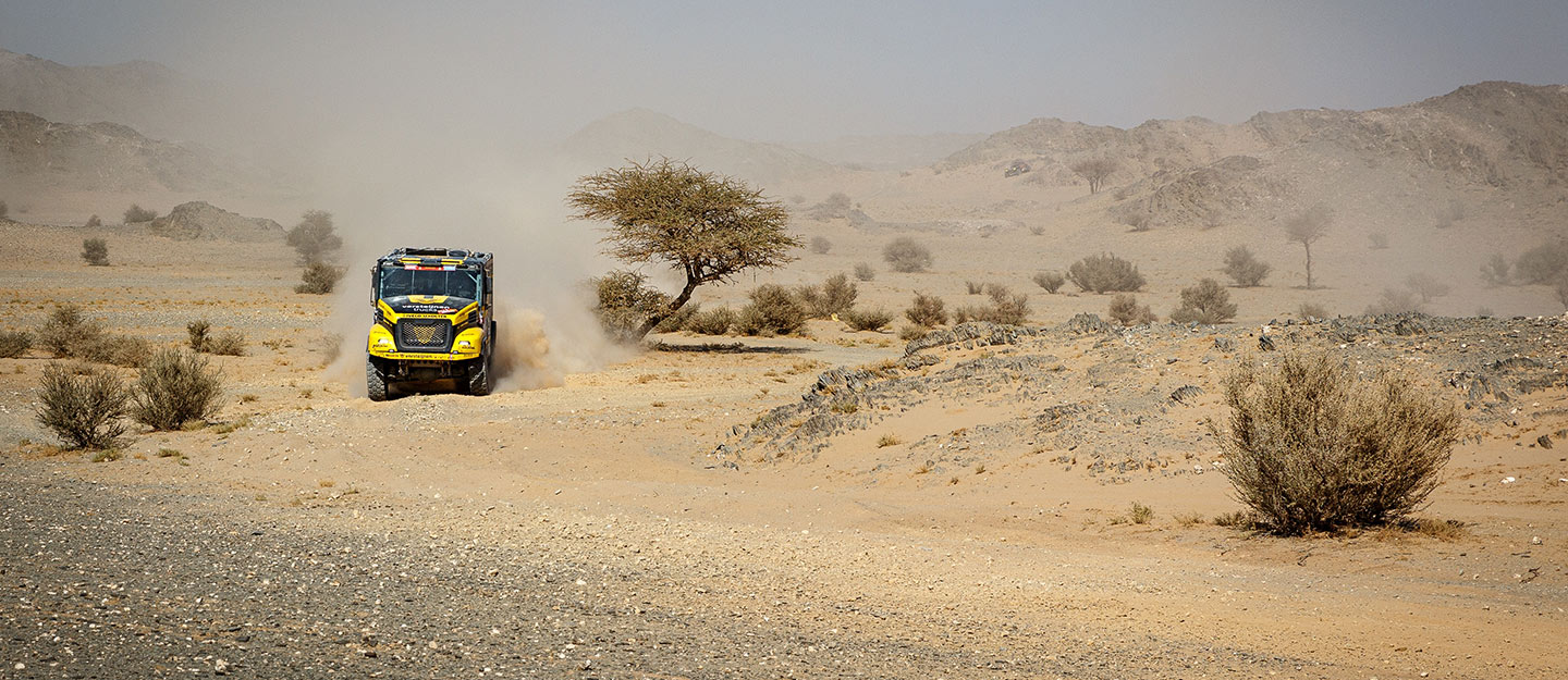 عقارات الدوادمي