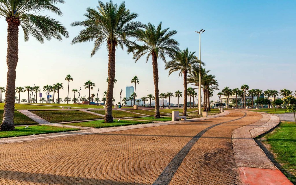 مجتمع حي النخيل الدمام
