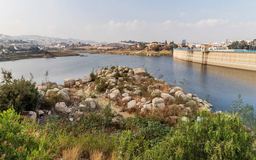 الأنشطة الخارجية في حي المنسك ابها