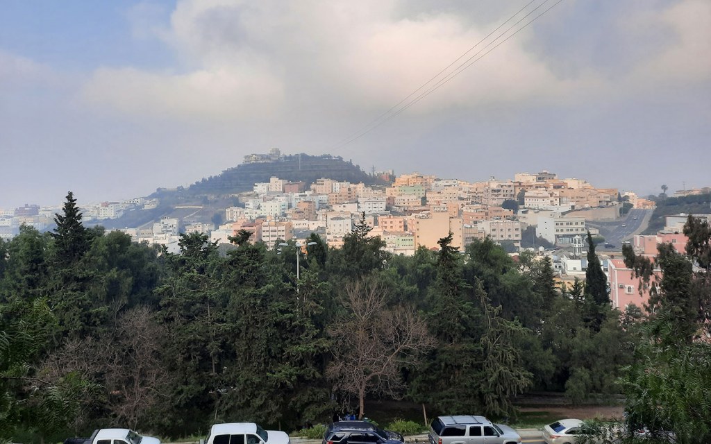 عقار حي المنهل ابها