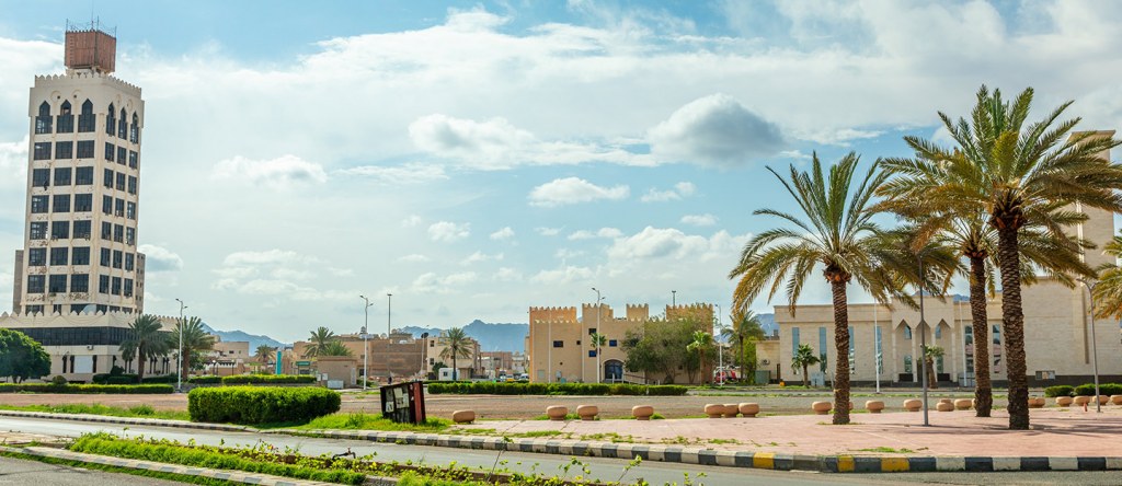 حي الوسيطاء حائل