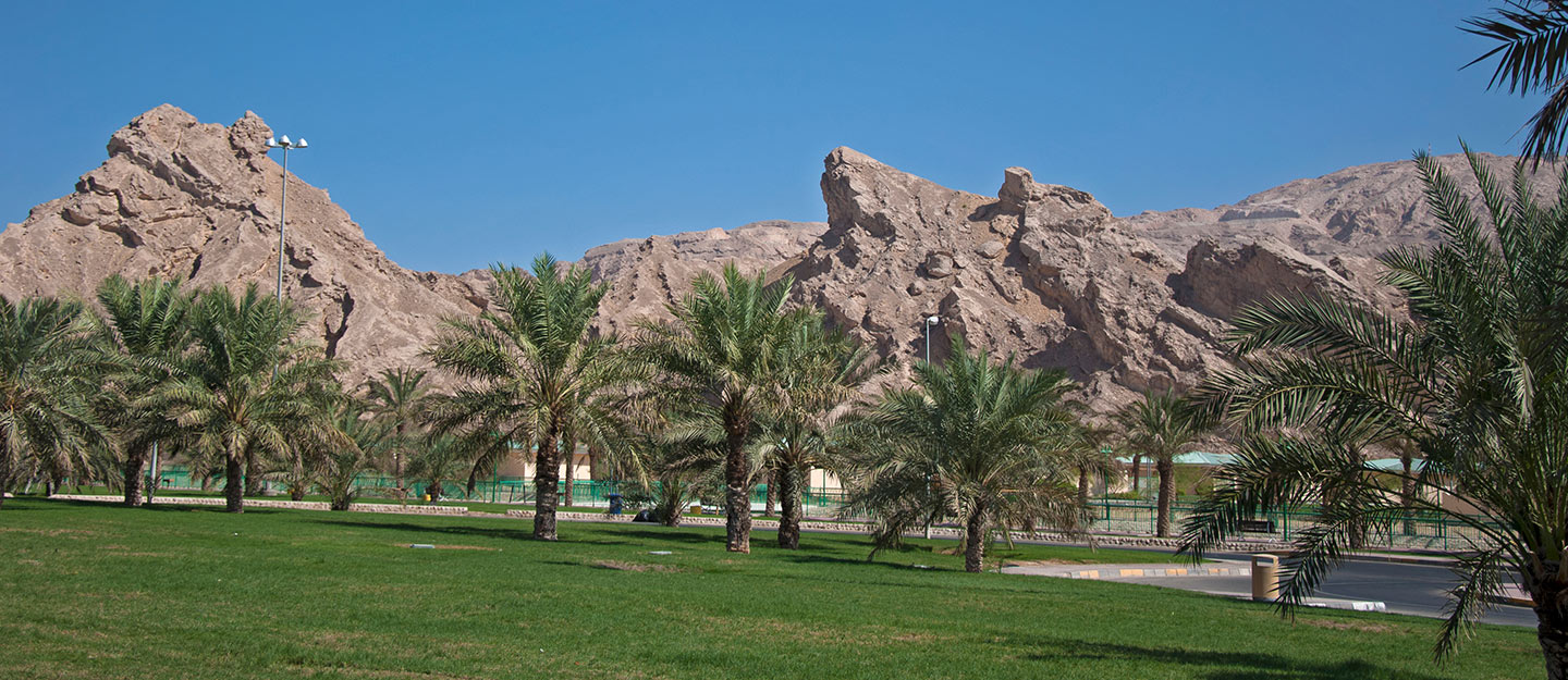 متنزه رواسي تهامة في الباحة