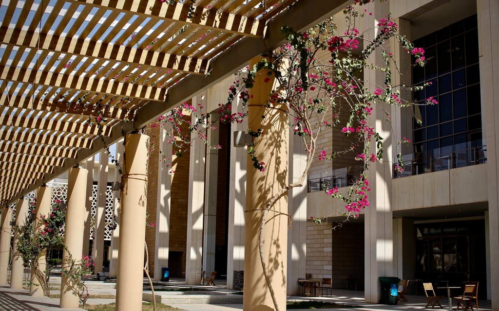 جامعة الأميرة نورة بنت عبد الرحمن