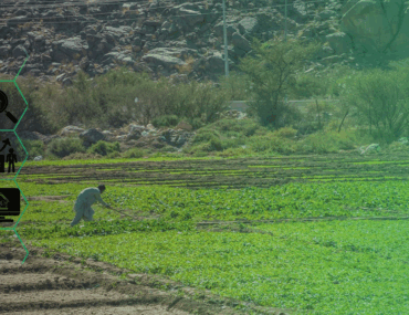 Raw Land and White Land