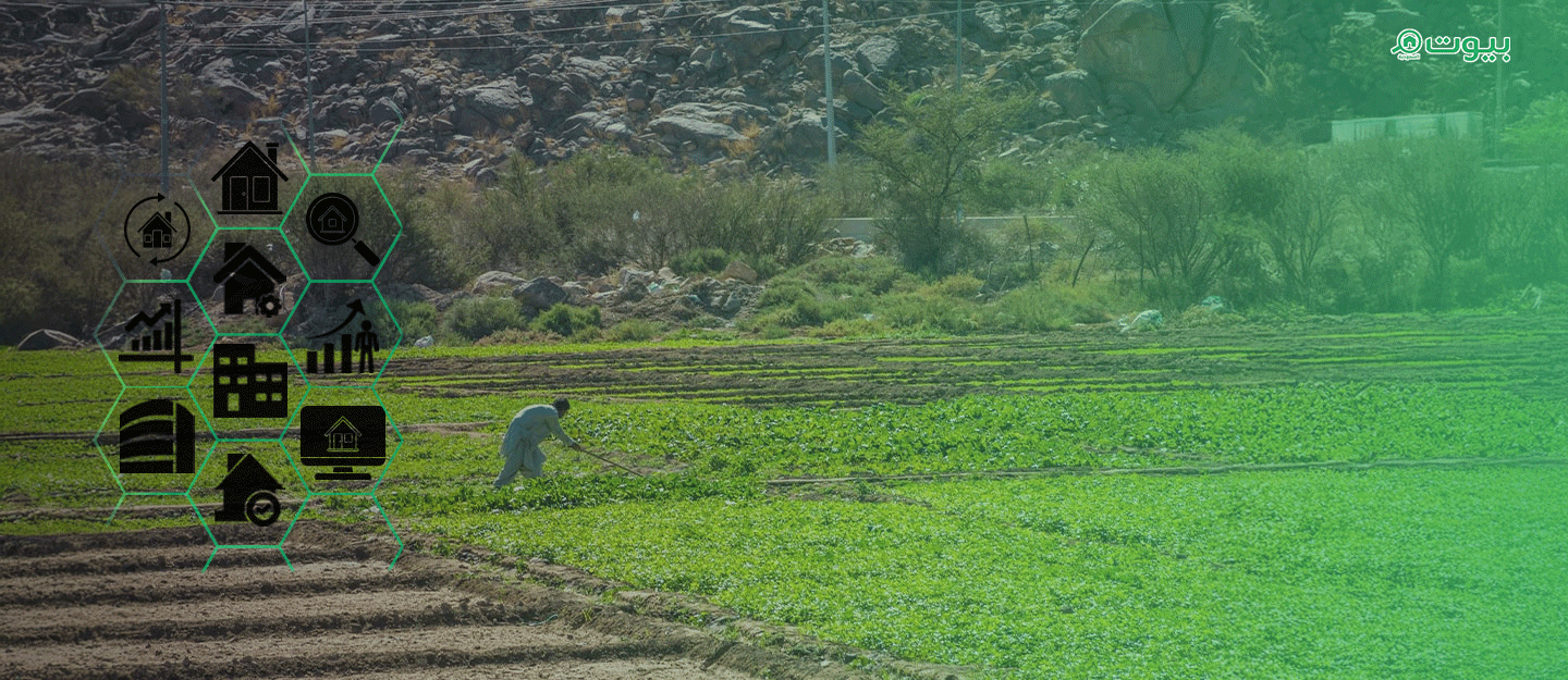 Raw Land and White Land