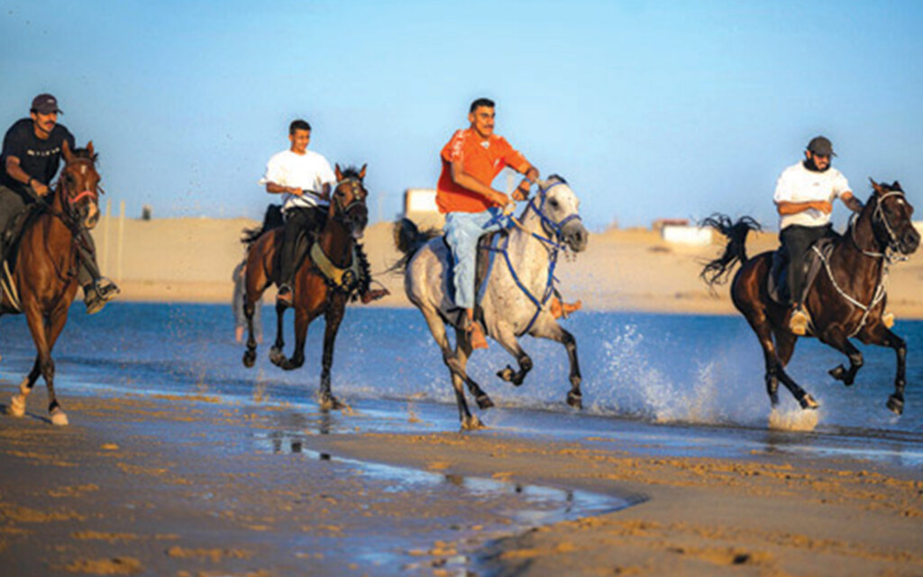 ركوب الخيل على الشاطئ