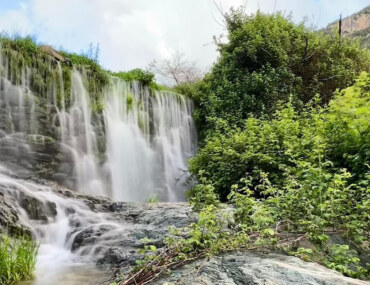 Khairah Forest Park