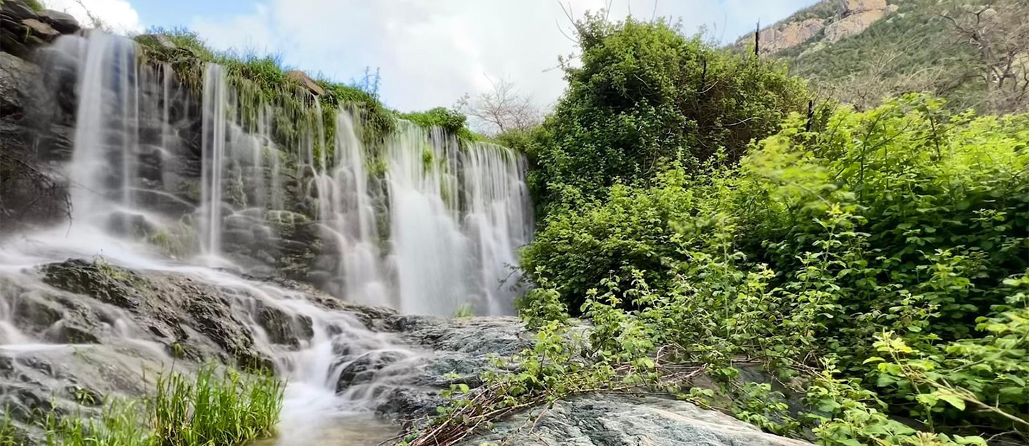 Khairah Forest Park