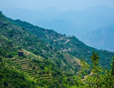 مبادرة خطى مستدامة