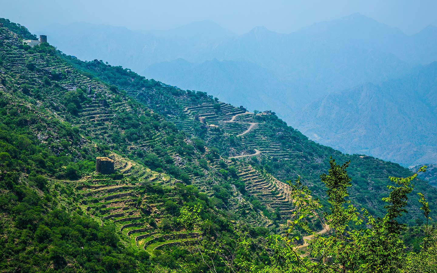 مبادرة خطى مستدامة