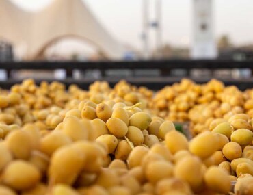 طريق التمور الدولي في السعودية