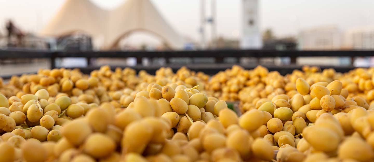 طريق التمور الدولي في السعودية
