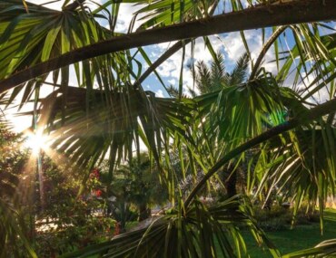 حديقة الغروب في المدينة المنورة