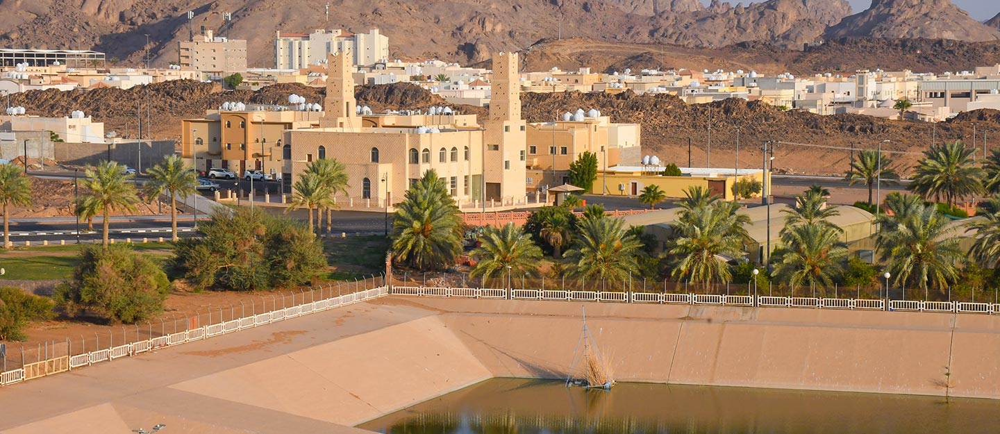 الاستثمار في حائل