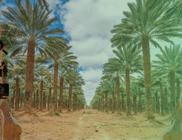 السياحة الريفية في السعودية
