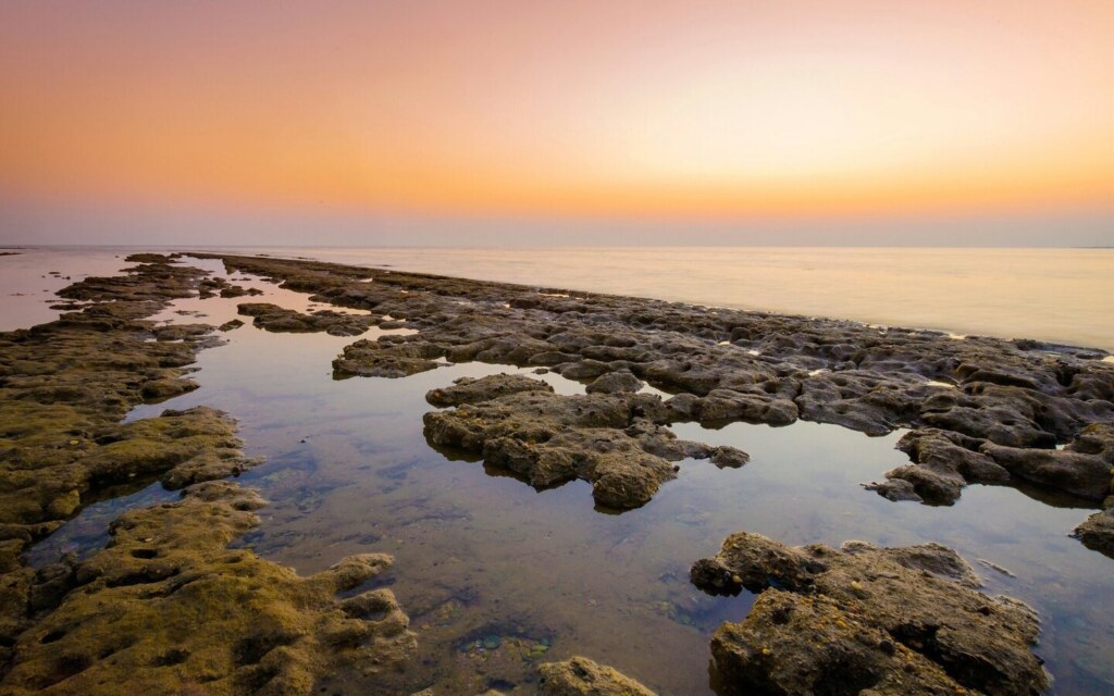 شواطئ البحر الأحمر