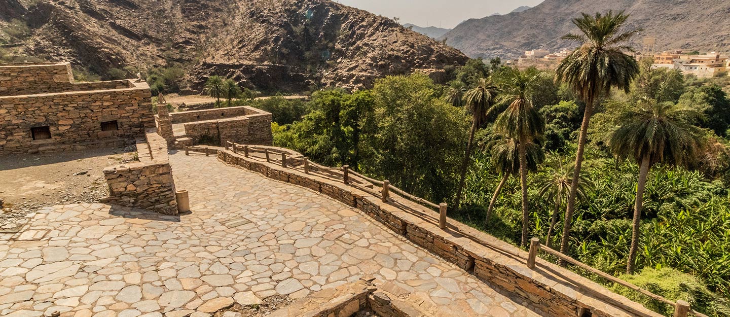 الزراعة في العقيق