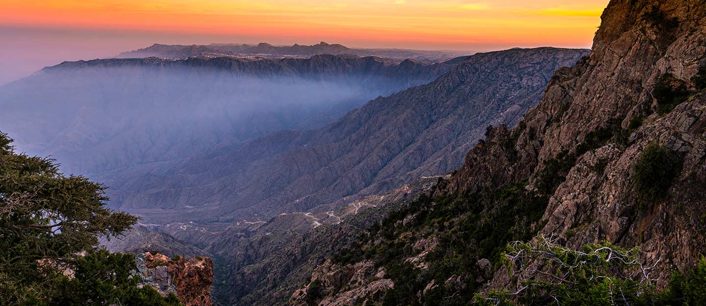 فعالية نفس في السعودية
