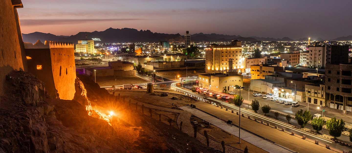 قطاعات الاستثمار في حائل