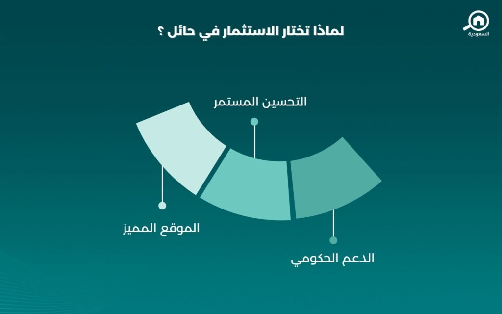 الاستثمار في حائل