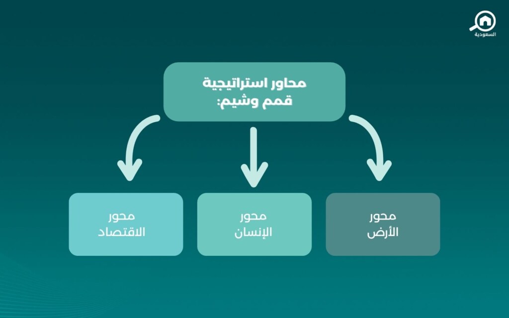 محاور استراتيجية قمم وشيم
