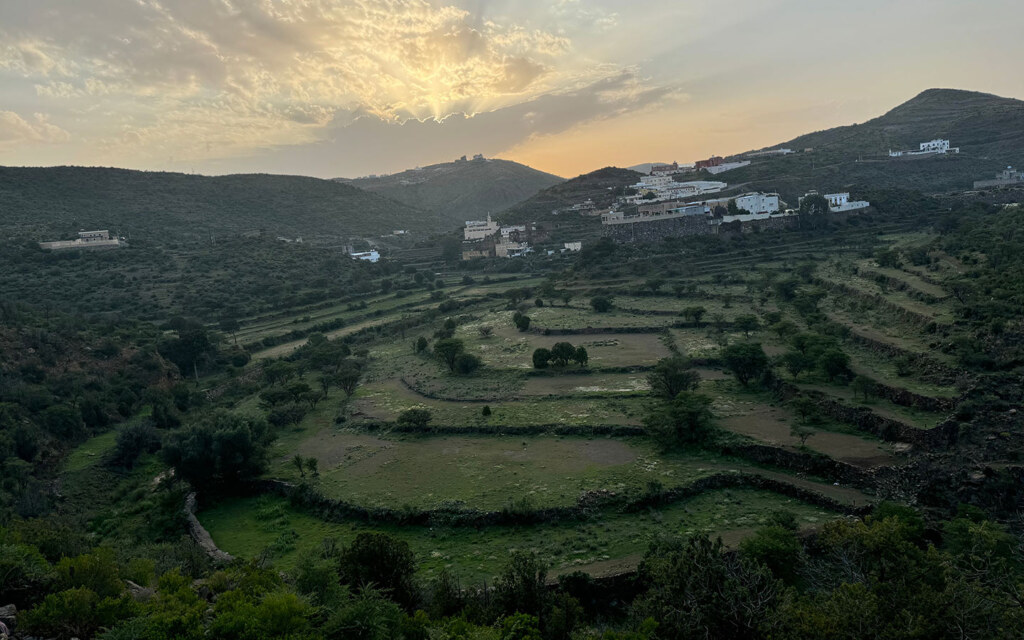 المزارع الجبلية في عسير