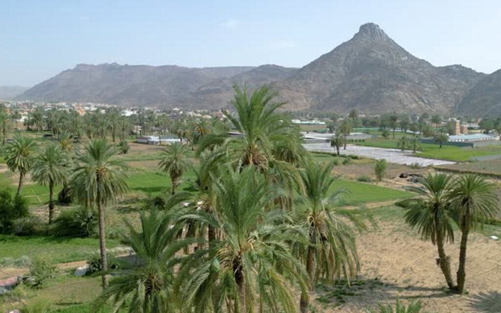 الزراعة في العقيق