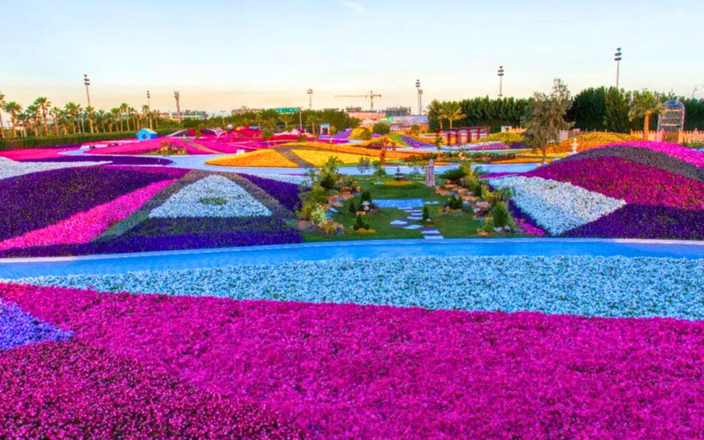 Yanbu Flower Festival, KSA