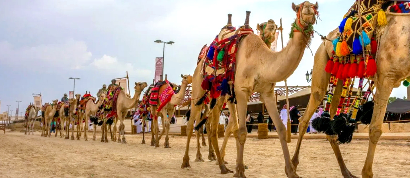 Souq Okaz, Festivals in KSA