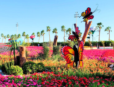 Yanbu Flower Festival, KSA