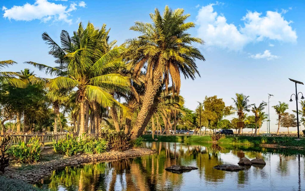 ينبع النخل