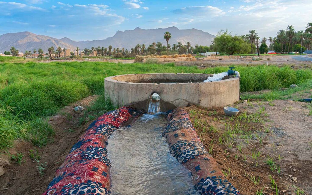 الزراعة في نجران