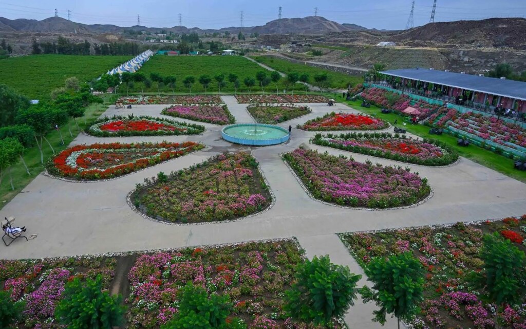 مهرجان حياة الورد