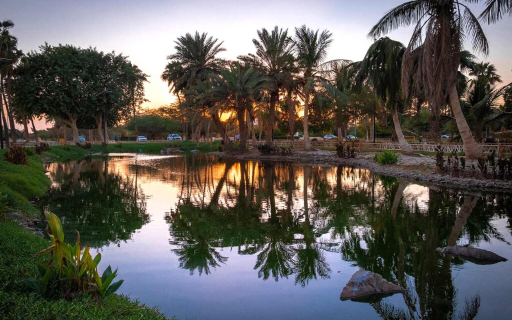 مدينة ينبع