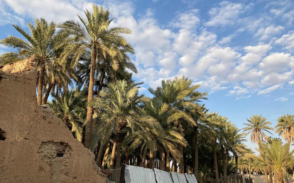 الاستثمار في القصيم