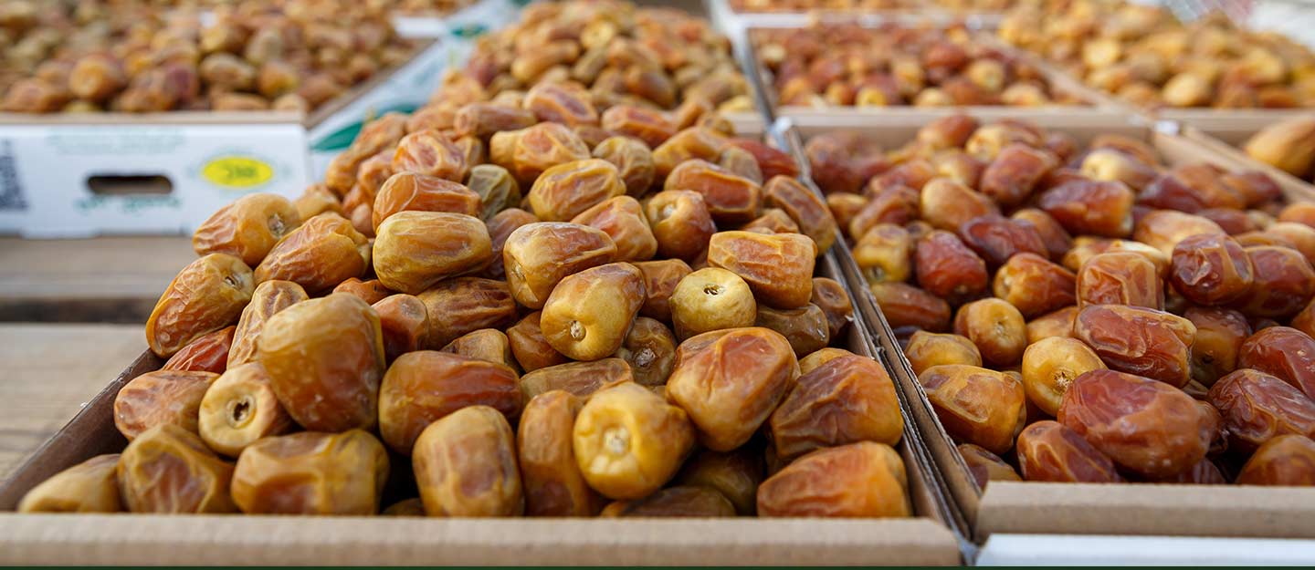 كرنفال بريدة للتمور