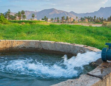 الزراعة في نجران