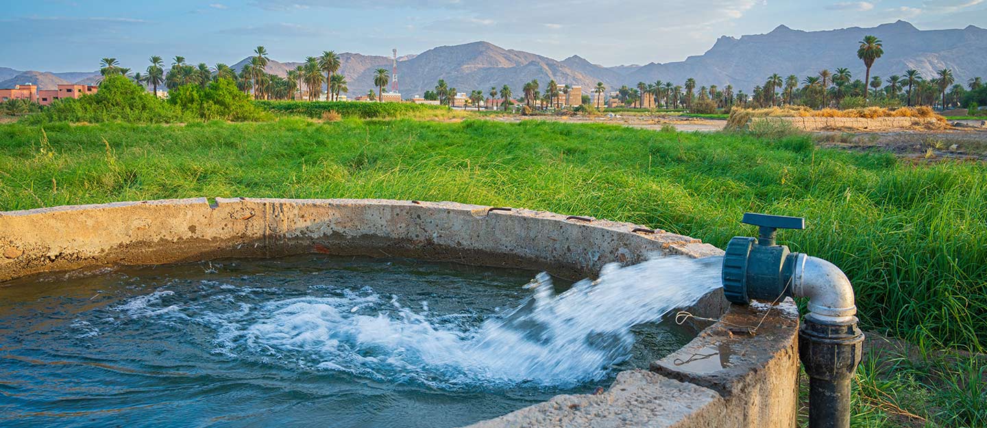 الزراعة في نجران