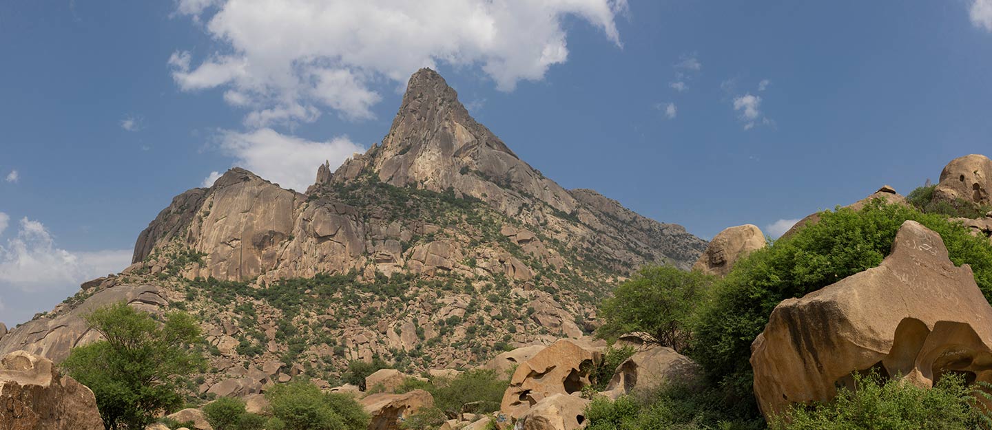 محمية جبل شدا الأعلى