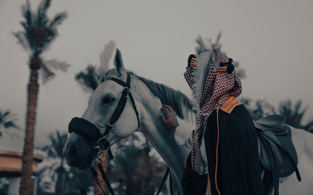 الفرس السعودي الأصيل