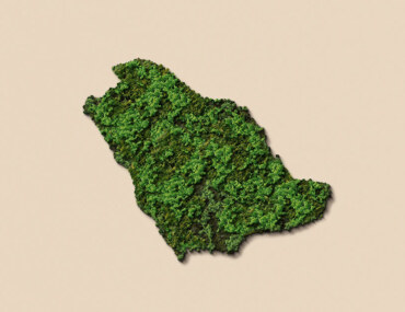 المشاريع البيئية في السعودية