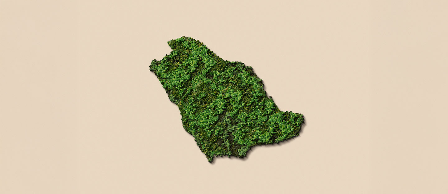المشاريع البيئية في السعودية